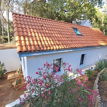 Prázdninový dům Maisonnette A Quimiac - 2 Min A Pied De La *